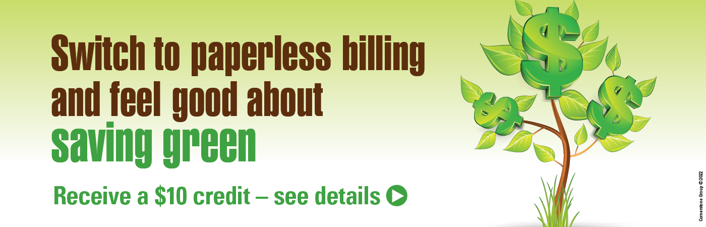 paperless billing kmtelecom